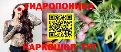 шишки Апшеронск