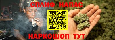 шишки Апшеронск