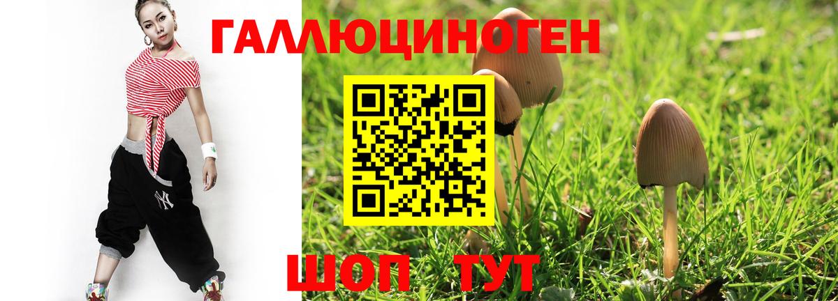 Галлюциногенные грибы MAGIC MUSHROOMS  Вход с VPN  что такое   Апшеронск  Галлюциногенные грибы ЛСД 