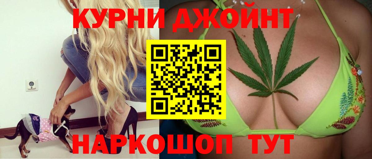 Конопля сатива Апшеронск